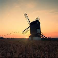 Haider Ali_1's avatar