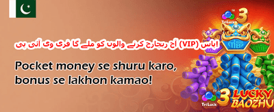 خصوصی جمع رقم میچ بونس promotion